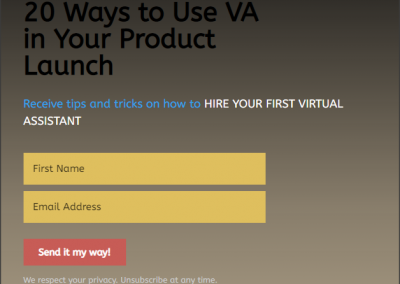 20 Ways to Use Your VA in Your Product Launch